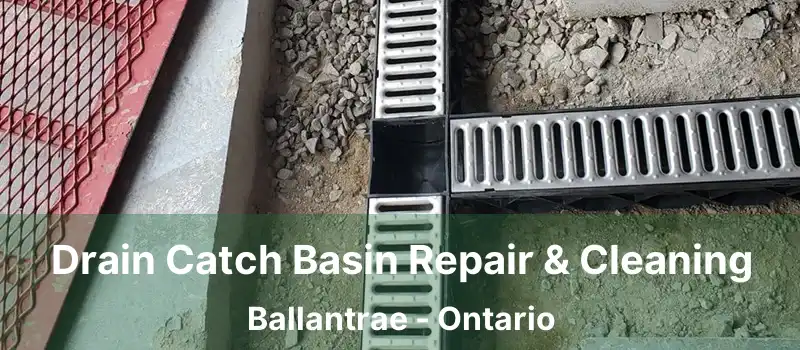  Drain Catch Basin Repair & Cleaning Ballantrae - Ontario