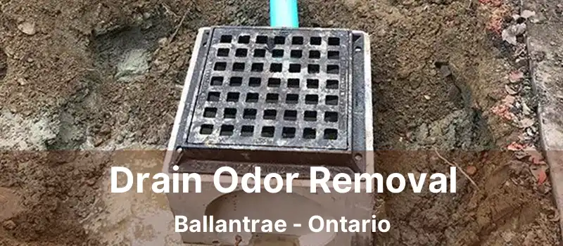  Drain Odor Removal Ballantrae - Ontario